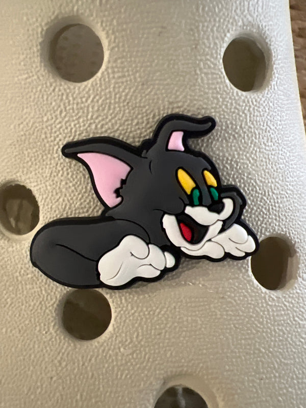 Assorted Croc Charms