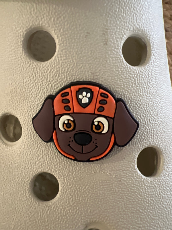 Assorted Croc Charms