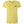 Aiden DC 2025 - AS Colour - Women's Maple Tee