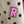 Letter/Number Croc Charms