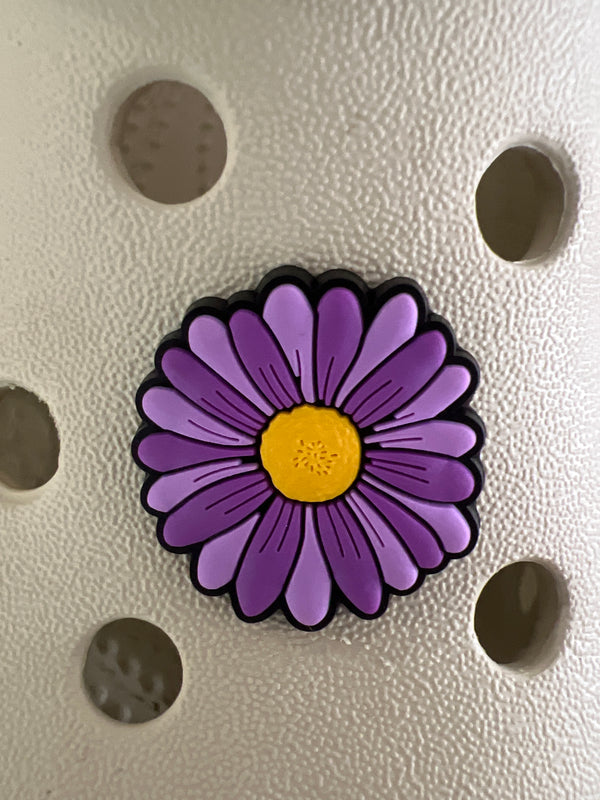 Assorted Croc Charms