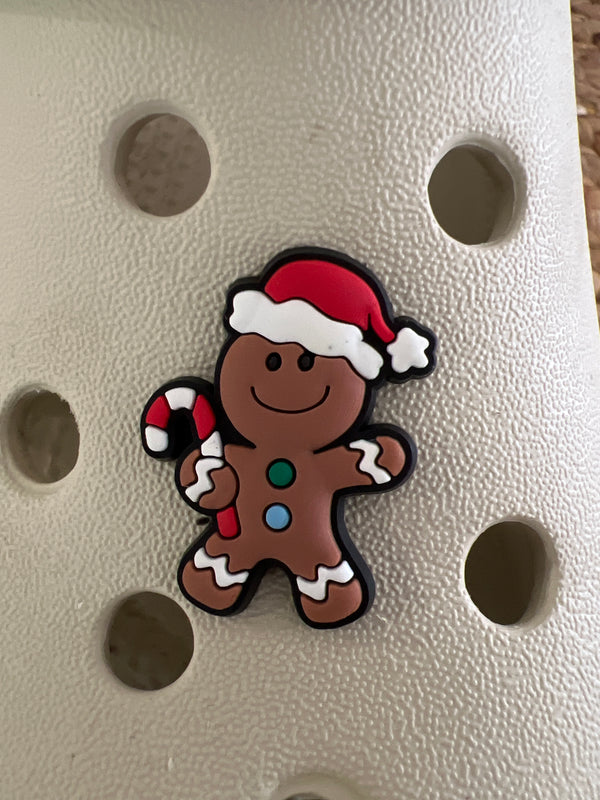 Assorted Croc Charms