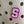 Letter/Number Croc Charms