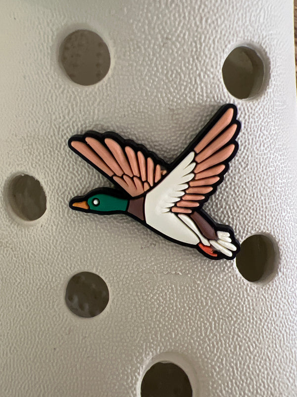 Assorted Croc Charms