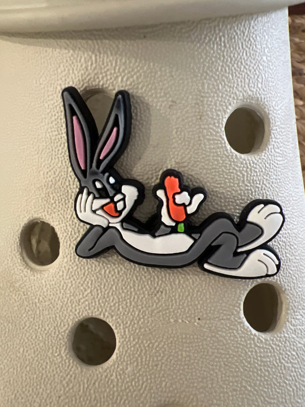 Assorted Croc Charms